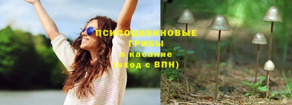 гашик Мегион