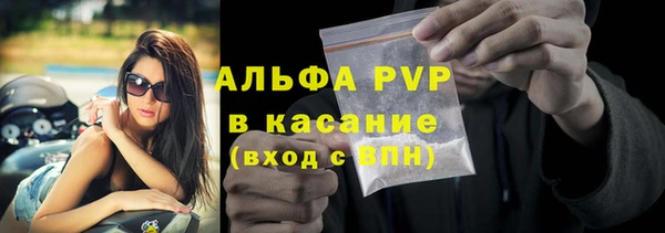 гашик Мегион