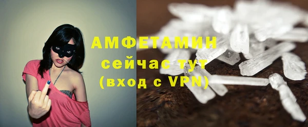гашик Мегион