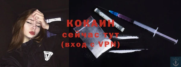 гашик Мегион