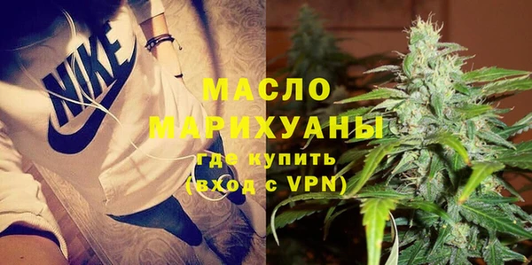 гашик Мегион